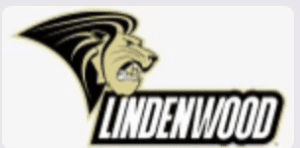 Screen-Shot-2022-07-19-at-11.02.08-PM